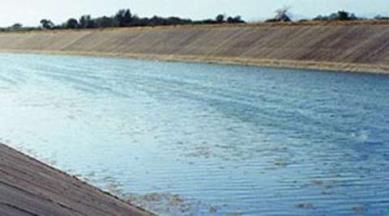 Sewer canal, Hindol Canal, pollution, delhi water pollution, water pollution, UP industries, NGT, pollution, PWD, DJB, UP Pollution Control Board, delhi news, city news, local news, Indian Express