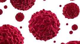 Unlike ionizing radiation such as that from gamma rays, radon and X-rays, which can break chemical bonds in the body and are known to cause cancer, radiofrequency devices such as cellphones and microwaves emit radiofrequency energy, a form of non-ionizing radiation.