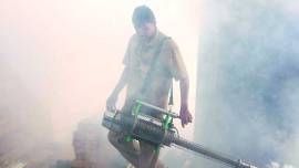 BMC, mumbai municipal, vector-borne diseases, dengue, malaria, mumbai health, mumbai monsoon, mumbai news, city news, local news, maharashtra news, Indian Express