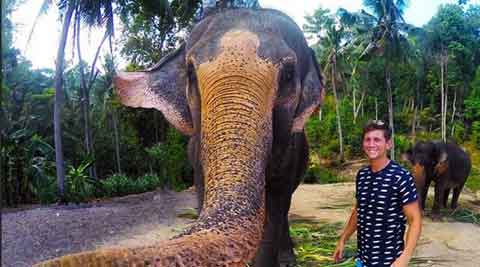 elephant selfie, elphie, elphie photo, viral photo, elephant viral photo, elephant viral selfie, viral elphie, Christian LeBlanc, Thailand, viral selfie