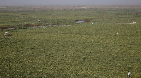 land reforms, landlessness, landless farmers, landless labourers, Socio Economic and Caste Census, SECC, agricultural land reform, kerala landlessness, West bengal landlessness, india news, nation news