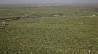 land reforms, landlessness, landless farmers, landless labourers, Socio Economic and Caste Census, SECC, agricultural land reform, kerala landlessness, West bengal landlessness, india news, nation news