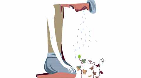 rajasthan farmer suicide, rajasthan farmer death, jaipur news, india farmer suicide, india farmer death, india news, rajasthan news