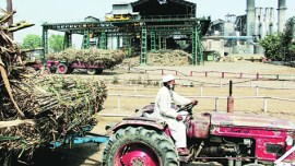 Punjab, economy, agriculture, trifurcation, Punjab Agriculture University, Punjab economy, Punjab agriculture, Food Corporation of India, iecolumnist, Ajay Veer Jakhar, The indian express