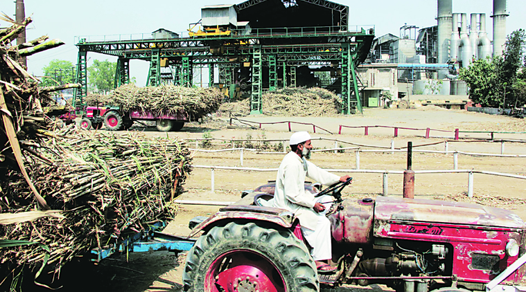 Falling Crop Prices: Double whammy for cottonseed companies | The ...
