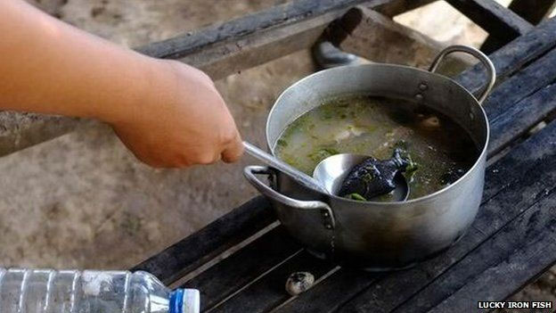 iron, iron deficiency, anaemia, iron fish, iron sources, health, good news