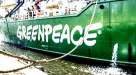 India, India Foreign funded charities, UN experts on Foreign funded charities, foreign funded charities Foreign Contributions Regulation Act, Foreign Contributions Regulation Act, FCRA, Greenpeace India, Ford Foundation, Sabrang Trust, India News, latest new