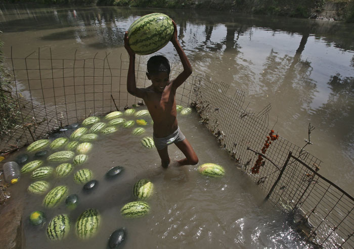 heat wave, heat wave death toll, telengana heat wave, AP heat wave, heat death toll, heat wave in india, heat wave india death toll, india news, Andhra pradesh news, Andra pradesh death toll,