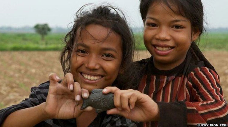 iron, iron deficiency, anaemia, iron fish, iron sources, health, good news