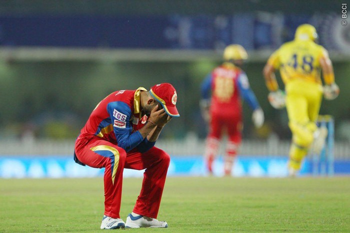 CSK vs RCB, RCB vs CSK, CSK vs RCB photos, CSK RCB, CSK RCB photos, IPL 8 photos, IPL photos, IPL final, IPL 2015 Photos, IPL, Cricket, Cricket Photos