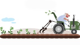 Narendra Modi, Modi, Modi one year, Modi government one year, one year of modi, one year modi government, modi news, indian express coloumn, indian express, india news