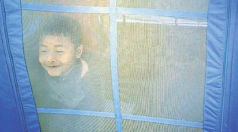 Photo by Firoz Merchant