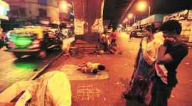 pavement-dwellers-480 no alt set