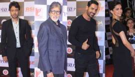 piku, deepika padukone, amitabh bachchan, irrfan khan, piku succes bash, shraddha kapoor, varun dhawan, john abraham, radhika apte, piku collections, amitabh, deepika, bigb, piku movie, reasons to watch piku, irrfan khan, shoojit sircar, deepika padukone piku, amitabh bachchan piku, irrfan khan, piku, entertainment news