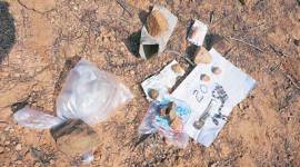 Red Sanders, Tirupati Red Sanders, Red Sanders killings, Tirupati killings, Tirupati Red Sanders killings, Andhra police, Seshachalam forest, India latest news