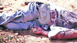 Red Sanders, Tirupati Red Sanders, Red Sanders killings, Tirupati killings, Tirupati Red Sanders killings, Andhra police, Seshachalam forest, India latest news