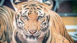 stare-thumb no alt set