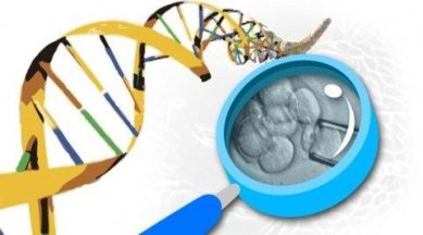 Cancer research institute, Mick Bhatia, Mcmaster university, blood cells, neurons, Mick bhatia blood cells, blood cells Mick Bhatia, Mick Bhatia neurons, cancer research institute mick bhatia, science news, technology news, world news
