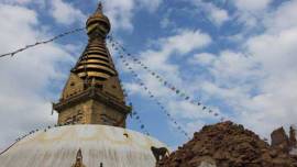 Kashi Vishwanath Temple, Allhabad High court, president Kashi Vishwanath Temple, board of trustee, Vishwanath Temple trsutees, lucknow news, city news, local news, UP news, Indian Express