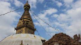 Kashi Vishwanath Temple, Allhabad High court, president Kashi Vishwanath Temple, board of trustee, Vishwanath Temple trsutees, lucknow news, city news, local news, UP news, Indian Express