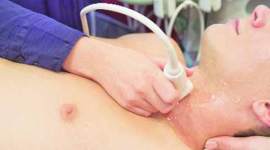 thyroid Food intolerance, thyroid disorders, genetic predisposition, health news