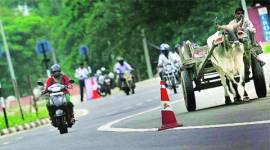 traffic hazard, delhi traffic, traffic rule, MACT, Delhi police, delhi traffic police, ATR, Delhi news, city news, local news, Indian Express