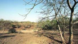 wildlife sanctuary, thane sanctuary, wildlife board, mumbai news, city news, local news, maharashtra news, Indian Express