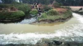 Clean Yamuna, Yamuna, delhi Yamuna, DJB, NGT, STP, NCT, Maili se Nirmal Yamuna Revitalisation Project 2017, delhi news, city news, local news, Indian Express