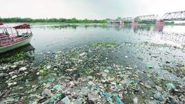 Yamuna Pollution, National Green Tribunal, Environment Ministry, Pulltion spreading in Yamuna News, latest news, India news, national news