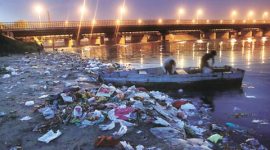 Yamuna, yamuna ngt, delhi ganesh chaturthi, ganesh chaturthi, delhi news, latest news, yamuna pollution, india news