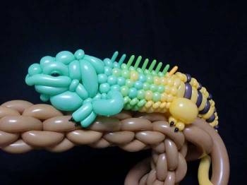 Believe it or not: These animals are made of balloons | Lifestyle Gallery News,The Indian Express Believe it or not: These animals are made of balloons | Lifestyle Gallery News,The Indian Express