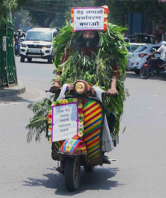 World Environment Day, Narendra Modi, Arvind Kejriwal, Virat Kohli, Sachin Tendulkar, Rohit Sharma, Ajinkya Rahane, Sushil Kumar, Prakash Javadekar, Rajendra Kumar Tiwari, New Delhi, Allahabad, tree plantation programme, Narendra Modi plant Saplings, Arvind Kejriwal plant saplings, Virat Kohli Plant Saplings, Sachin Tendulkar plant Saplings