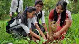 world environment day, world environment day 2015, world environment day theme, environment day, environment, Pollution, afforestation, planting trees