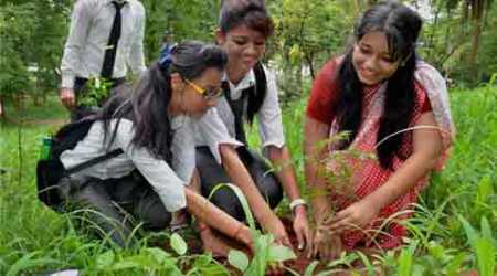world environment day, world environment day 2015, world environment day theme, environment day, environment, Pollution, afforestation, planting trees