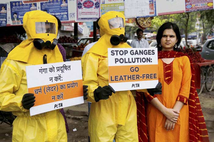 Environment Day, world environment day, environment day 2015, Environment Day news, world environment day 2015, pollution level in delhi, environment pollution, Environment Day Pune, Environment Day india