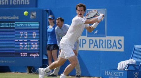 Andy Murray, Andy Murray Quenns Title, Andy Murray Aegon Championships, Andy Murray Tennis, Tennis Andy Murray, Tennis News, Tennis