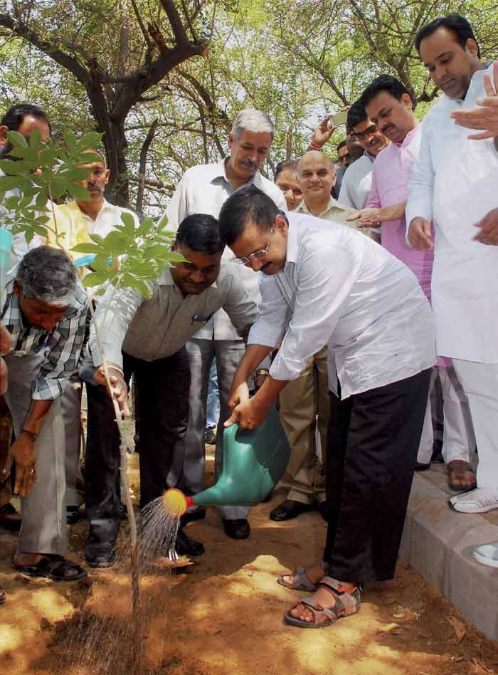 World Environment Day, Narendra Modi, Arvind Kejriwal, Virat Kohli, Sachin Tendulkar, Rohit Sharma, Ajinkya Rahane, Sushil Kumar, Prakash Javadekar, Rajendra Kumar Tiwari, New Delhi, Allahabad, tree plantation programme, Narendra Modi plant Saplings, Arvind Kejriwal plant saplings, Virat Kohli Plant Saplings, Sachin Tendulkar plant Saplings