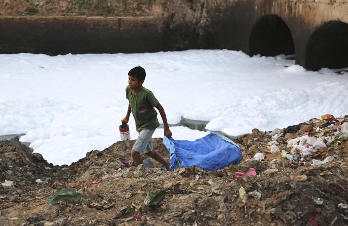 Environment Day, world environment day, environment day 2015, Environment Day news, world environment day 2015, pollution level in delhi, environment pollution, Environment Day Pune, Environment Day india