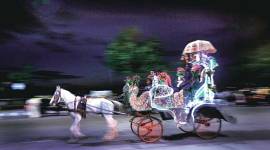 Mumbai's victoria, Victoria carriage, victoria joyride, victoria horse ride, PETA, Bombay high court, Mumbai news, indian express news, latest news