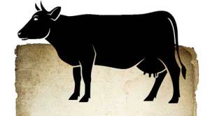 Out of my mind: Meaty issues