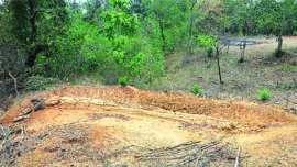 Wadadham Fossil Park, Jurassic period site,fossils, vegetarian dinosaurs,Godavari-Pranhita basin, Deccan Intertrappean Flora, india news, nation news, national news, Indian Express