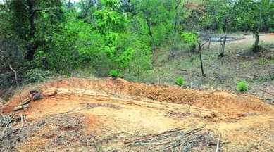 Wadadham Fossil Park, Jurassic period site,fossils, vegetarian dinosaurs,Godavari-Pranhita basin, Deccan Intertrappean Flora, india news, nation news, national news, Indian Express