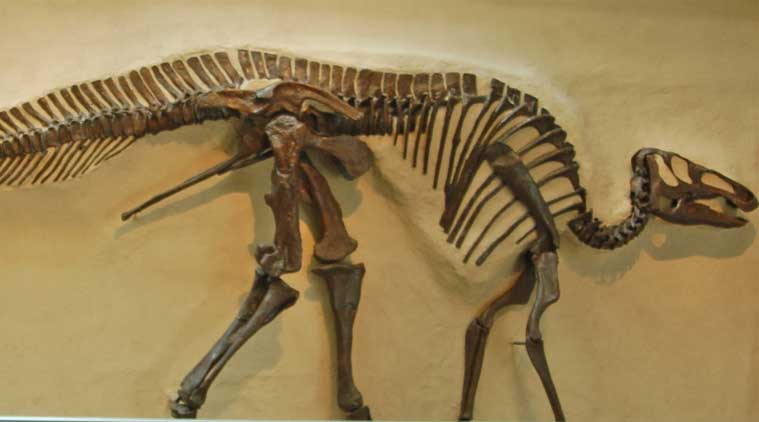 oldest dinosaur bones