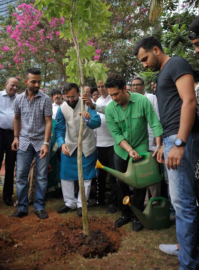 World Environment Day, Environment Day, Environment, Sachin Tendulkar, Virat Kohli, Kohli, Tendulkar, Rohit Sharma, Sushil Kumar, Cricket, Sports Photos, Environment Day photos