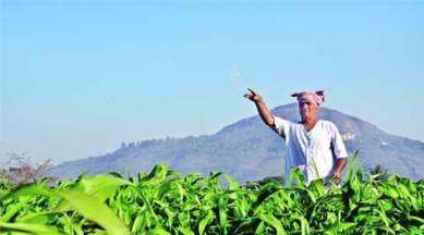 Direct Benefit Transfer, DBT of fertiliser subsidy, fertiliser subsidy, fertiliser subsidy farmers, indian farmer, Narendra Modi, Narendra Modi government, Indian Farmers Fertiliser Cooperative, Iffco, Pradhan Mantri Jan-Dhan Yojana, indian express, subsidy for farmer