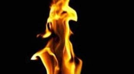 fire, mohali fire, mohali factory fire, mohali garment factory fire, india news