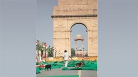 Delhi police, delhi traffic route, UNSC, India-Africa Forum summit, Modi UNSC, UN Security Council, IAFS, India Africa summit Modi, Nation news, india news