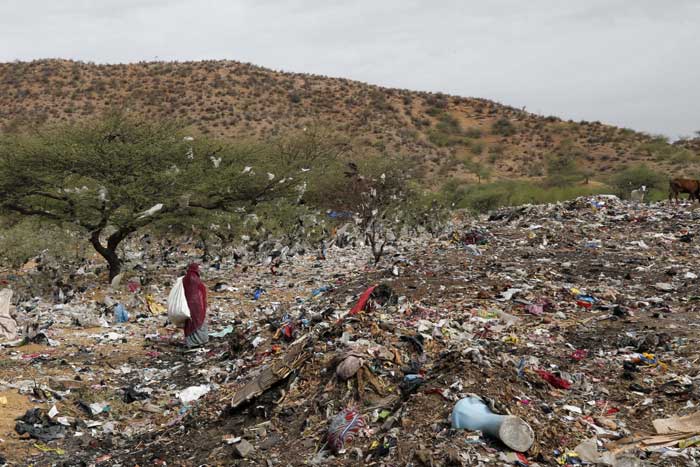 Environment Day, world environment day, environment day 2015, Environment Day news, world environment day 2015, pollution level in delhi, environment pollution, Environment Day Pune, Environment Day india