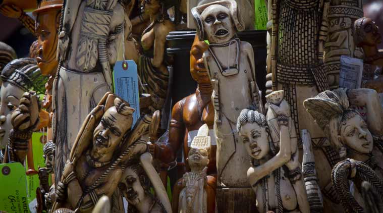 Elephant poaching, Time Square, ivory trade, Ivory crushed, Crushing ivory in Times Square, Elephant slaughter, Elephant killing, Wildlife Conservation Society, World News