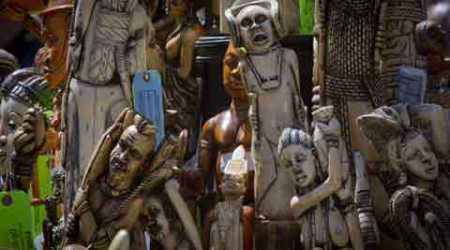 Elephant poaching, Time Square, ivory trade, Ivory crushed, Crushing ivory in Times Square, Elephant slaughter, Elephant killing, Wildlife Conservation Society, World News